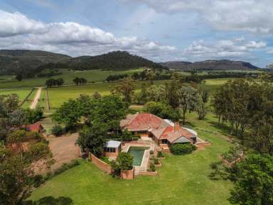 Farm For Sale - NSW - Sandy Hollow - 2333 - Premier Hunter Valley Equine Facility  (Image 2)