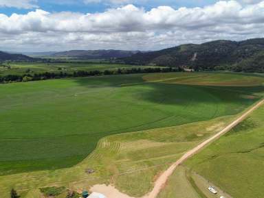 Farm For Sale - NSW - Sandy Hollow - 2333 - Premier Hunter Valley Equine Facility  (Image 2)