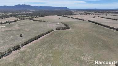 Farm For Sale - VIC - Brimpaen - 3401 - Impressive Cropping/Grazing property 952.05ha/ 2352.56 acres  (Image 2)