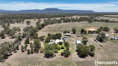 Farm For Sale - VIC - Brimpaen - 3401 - Impressive Cropping/Grazing property 952.05ha/ 2352.56 acres  (Image 2)