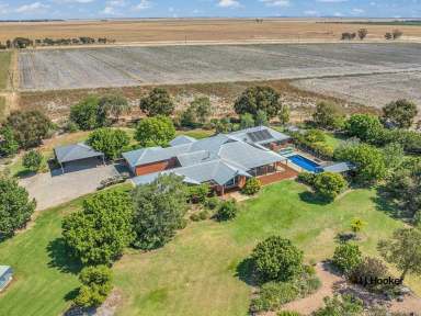 Farm For Sale - VIC - Echuca - 3564 - Discover Your Perfect Canvas  (Image 2)