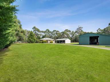 Farm For Sale - VIC - Hastings - 3915 - Coast & Country Acreage Living where Bellbirds Sing Sweet Melodies  (Image 2)