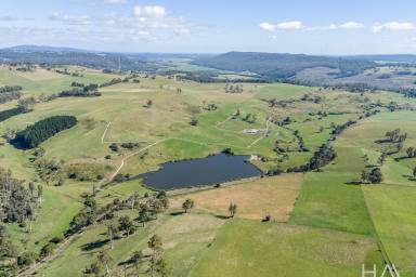Farm For Sale - TAS - Moltema - 7304 - 392 Acres with Exceptional Water Security on Productive Ground  (Image 2)