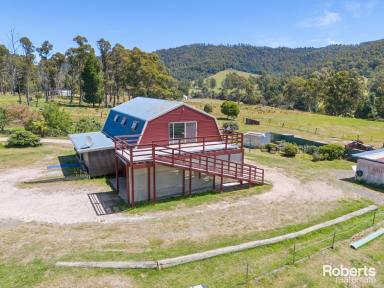 Farm For Sale - TAS - Claude Road - 7306 - Wheelchair Friendly Home on Nearly 5 Acres (approx)  (Image 2)