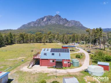 Farm For Sale - TAS - Claude Road - 7306 - Wheelchair Friendly Home on Nearly 5 Acres (approx)  (Image 2)