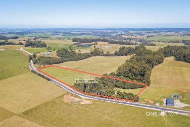 Farm For Sale - TAS - Scotchtown - 7330 - The Perfect Place To Build Your Dream Home!  (Image 2)