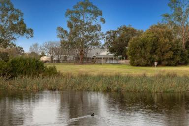 Farm Sold - VIC - Pearcedale - 3912 - Exceptional Country Homestead with Lake Views  (Image 2)