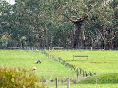 Farm For Sale - VIC - Heywood - 3304 - 100 Ac - 40.46 Ha*  Opportunities like this don’t come along often!  (Image 2)