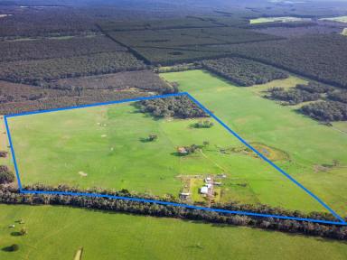 Farm For Sale - VIC - Heywood - 3304 - 100 Ac - 40.46 Ha*  Opportunities like this don’t come along often!  (Image 2)
