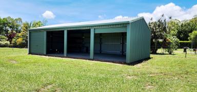 Farm Sold - QLD - Cardwell - 4849 - Vacant rural block with shed close to boat ramp         with two street access  (Image 2)