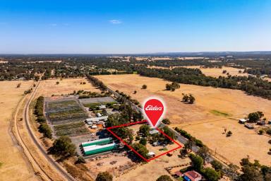 Farm Auction - WA - Boyanup - 6237 - AUCTION HAS ENDED AT $455,000  (Image 2)