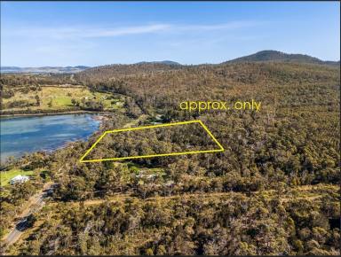 Farm For Sale - TAS - Murdunna - 7178 - Blank canvas, approx. 7.5 acres of native bushland, across the road from the coastal community walking track  (Image 2)