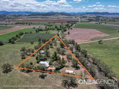 Farm For Sale - NSW - Quirindi - 2343 - A family home built for enjoyment.  (Image 2)