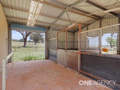 Farm For Sale - NSW - Quirindi - 2343 - A family home built for enjoyment.  (Image 2)