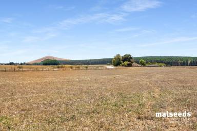 Farm Sold - SA - Rocky Camp - 5280 - Acreage with views and great possibilities!  (Image 2)
