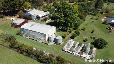 Farm Sold - WA - Scotsdale - 6333 - Charming Country Living  (Image 2)