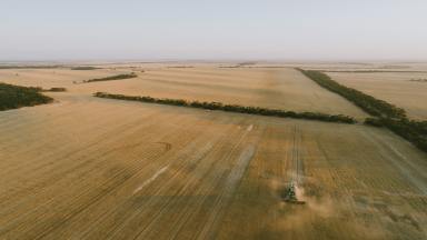 Farm For Sale - SA - Mudamuckla - 5680 - Mudabie – One of South Australia’s Largest Contiguous Cropping Opportunities  (Image 2)