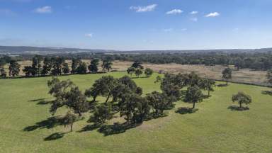 Farm For Sale - VIC - Dromana - 3936 - Dream Acreage In Wine Country With Endless Potential & Potential Dual Access  (Image 2)