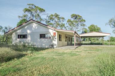 Farm Sold - QLD - Prospect - 4715 - Rural Lifestyle Living 5* minutes to Biloela  (Image 2)