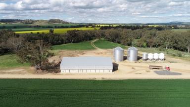 Farm For Sale - NSW - Grenfell - 2810 - High Rainfall Cropping  (Image 2)