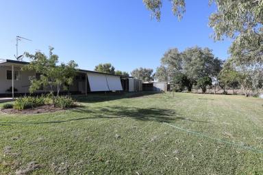 Farm For Sale - NSW - Bourke  - 2840 - Country Lifestyle with River Views  (Image 2)