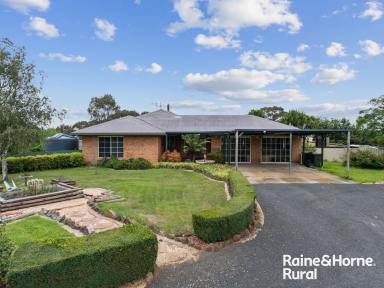 Farm For Sale - NSW - Wayo - 2580 - A Property with Something for all the Family  (Image 2)