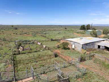 Farm For Sale - SA - Stirling North - 5710 - "Nangari" ROI (As a whole or in three contingent lots.)  (Image 2)