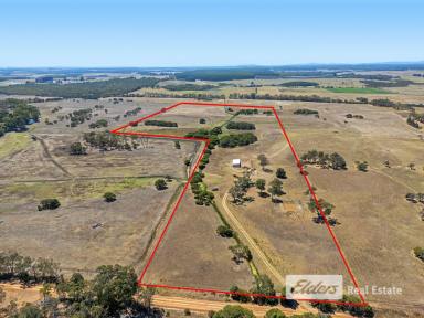 Farm Sold - WA - Torbay - 6330 - Spacious Rural Block with Potential and Convenience  (Image 2)