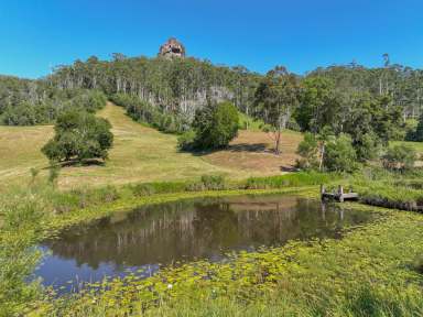 Farm For Sale - NSW - Upper Lansdowne - 2430 - “KELLIVALE” - Inspection Available Sat 16th November 2024 - 1pm Call To Confirm  (Image 2)