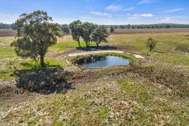 Farm Sold - VIC - Cornella - 3551 - OUTSTANDING RURAL INCOME PRODUCING / LIFESTYLE OPPORTUNITY  (Image 2)