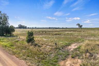 Farm Sold - VIC - Cornella - 3551 - OUTSTANDING RURAL INCOME PRODUCING / LIFESTYLE OPPORTUNITY  (Image 2)