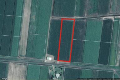 Farm For Sale - QLD - Halifax - 4850 - 1.12 HECTARE (OVER 2.75 ACRE) BLOCK OF LAND BETWEEN HALIFAX & TAYLORS BEACH!  (Image 2)