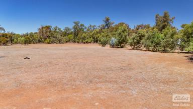 Farm For Sale - WA - Coondle - 6566 - Enchanting Property: Cleared Land & Bush Harmony  (Image 2)