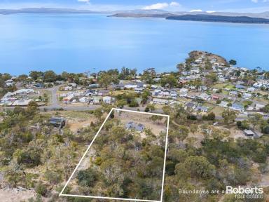 Farm For Sale - TAS - Primrose Sands - 7173 - Fabulous acreage opportunity with wildlife habitat and stunning water views  (Image 2)