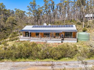 Farm For Sale - TAS - Moina - 7310 - Rustic Airbnb Retreat + 2 bedroom home on 105 acres approx.  (Image 2)