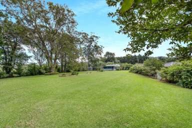 Farm Sold - NSW - Berry - 2535 - Auction  (Image 2)