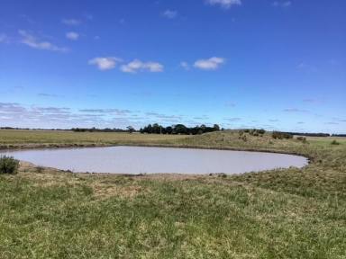 Farm Sold - VIC - Bo Peep - 3351 - Highly productive cropping/livestock property in the tightly held Ballarat region.  (Image 2)
