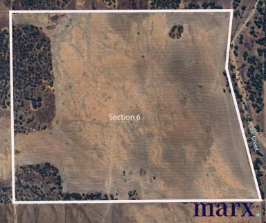 Farm For Sale - SA - Steinfeld - 5356 - FARMING PROPERTY IN TWO LOTS  (Image 2)