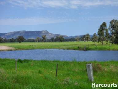 Farm For Sale - VIC - Dadswells Bridge - 3385 - Multiple Options exist  (Image 2)