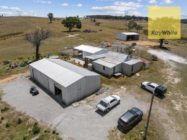 Farm Sold - NSW - Goulburn - 2580 - Discover Rural Bliss at 692 Woodhouselee Road  (Image 2)