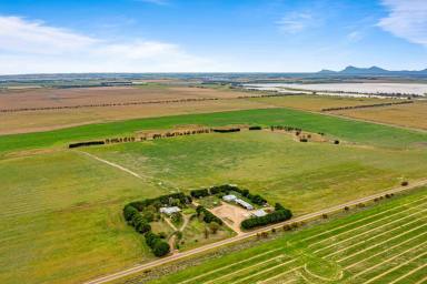 Farm For Sale - VIC - Willaura - 3379 - Mixed Farming Opportunity  (Image 2)