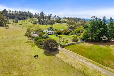 9701 Tasman Highway, Triabunna TAS 7190