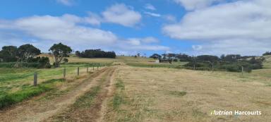 Farm For Sale - WA - Kronkup - 6330 - Highly Productive Grazing Property with Ocean Views!  (Image 2)