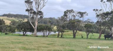 Farm For Sale - WA - Kronkup - 6330 - Highly Productive Grazing Property with Ocean Views!  (Image 2)