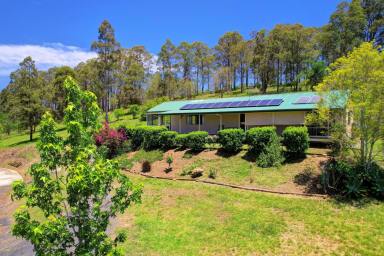 Farm For Sale - NSW - Krambach - 2429 - Life's Complete At Cocumbark!  (Image 2)
