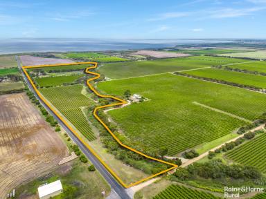 Farm Sold - SA - Lake Plains - 5255 - Versatility & vines: 30 acres of rich potential & tourist pull along the serene Bremer River.  (Image 2)