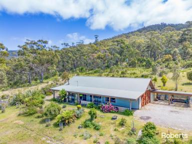 Farm Sold - TAS - Chain Of Lagoons - 7215 - A Great Aussie Escape  (Image 2)