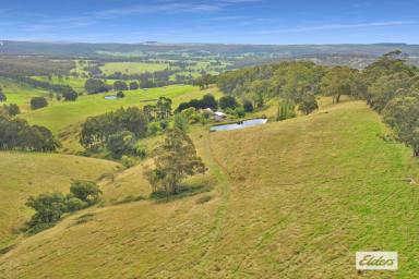 Farm For Sale - VIC - Willung South - 3847 - AFFORDABLE GRAZING COUNTRY  (Image 2)