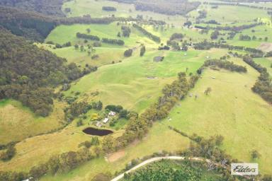 Farm For Sale - VIC - Willung South - 3847 - AFFORDABLE GRAZING COUNTRY  (Image 2)