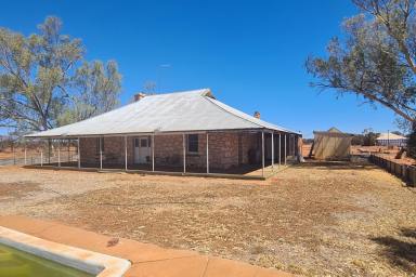 Farm For Sale - WA - Mount Magnet - 6638 - Great location with quality homes and sheds  (Image 2)